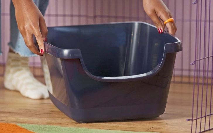 how to litter train a rabbit