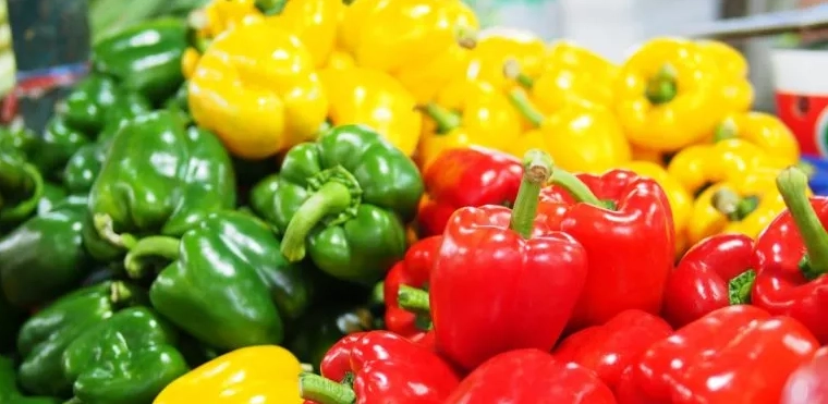 can bunnies eat bell peppers can bunnies eat bell peppers