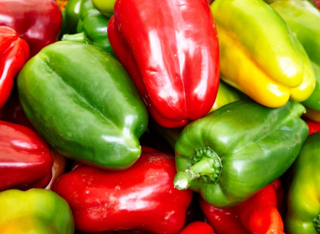 protect pepper plants from rabbits