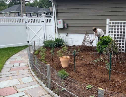 rabbit proof fence rabbit proof fence