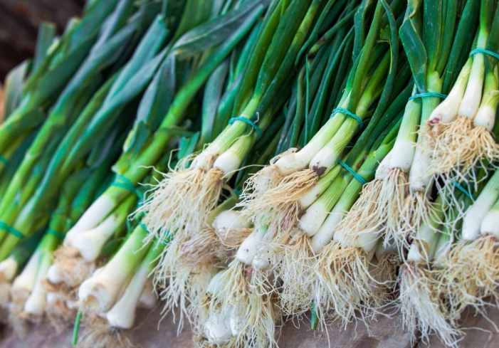 rabbit safe vegetables rabbit safe vegetables