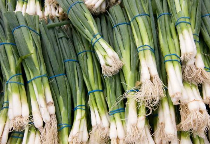 toxic foods for rabbits toxic foods for rabbits