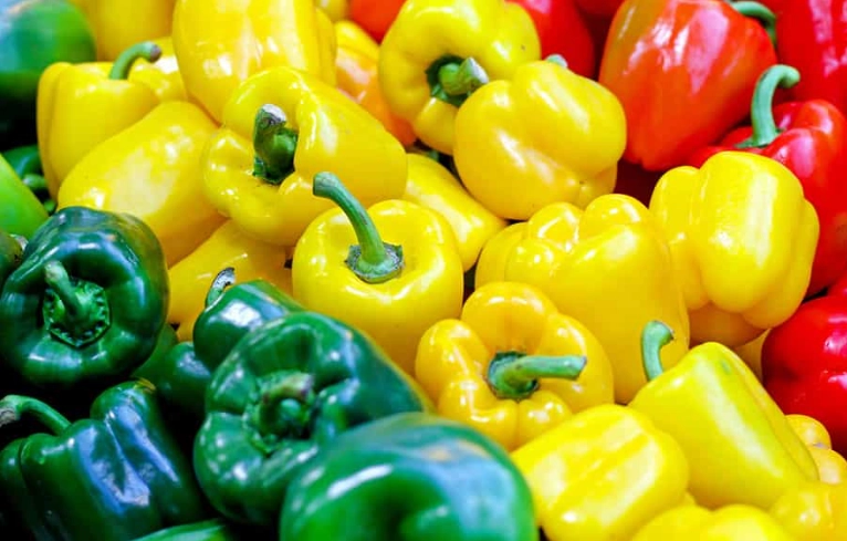 rabbit safe vegetables