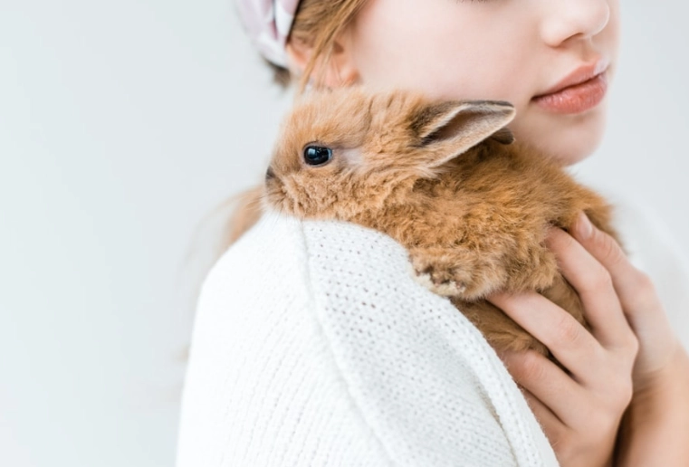 pick up rabbit safely