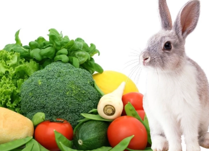 rabbit safe vegetables