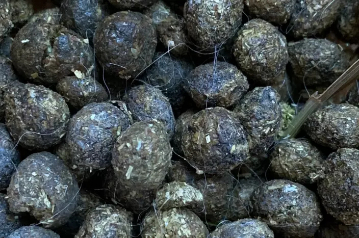 rabbit manure fertilizer