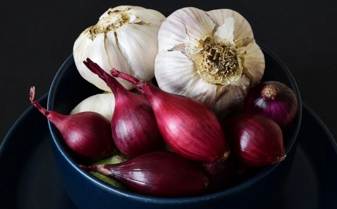 rabbit toxic foods rabbit toxic foods