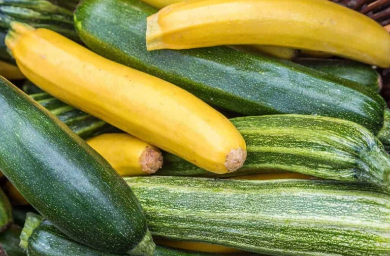feeding zucchini to rabbits
