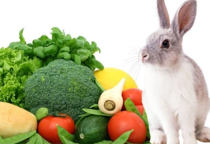 can rabbits eat celery