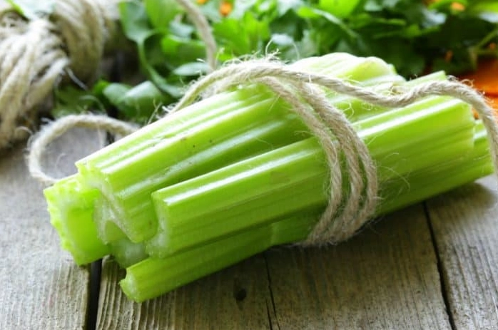 celery for rabbits