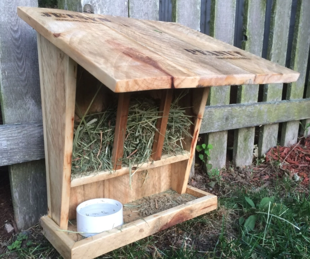 wild rabbit diet wild rabbit diet