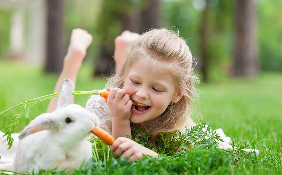 rabbit health check rabbit health check