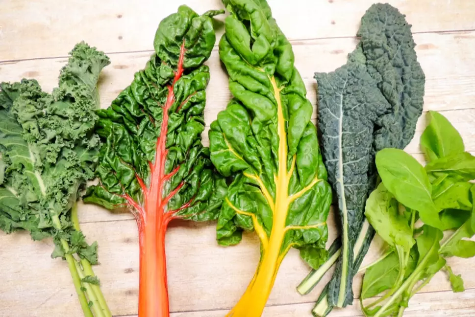 safe vegetables for baby rabbits