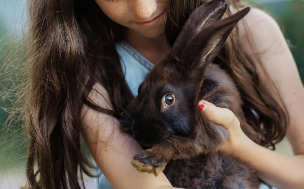 newborn rabbit feeding