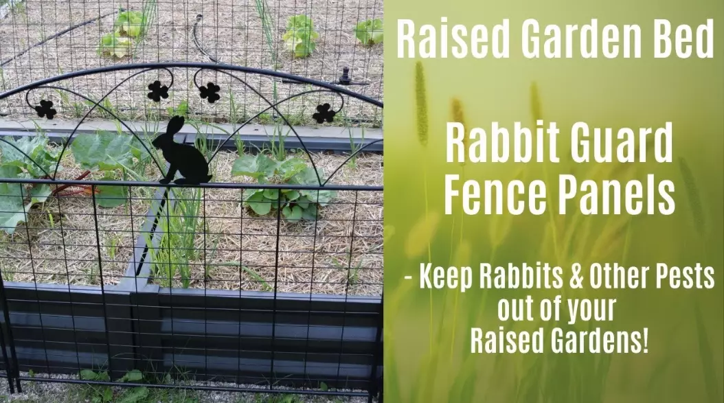 how to keep rabbits out of garden
