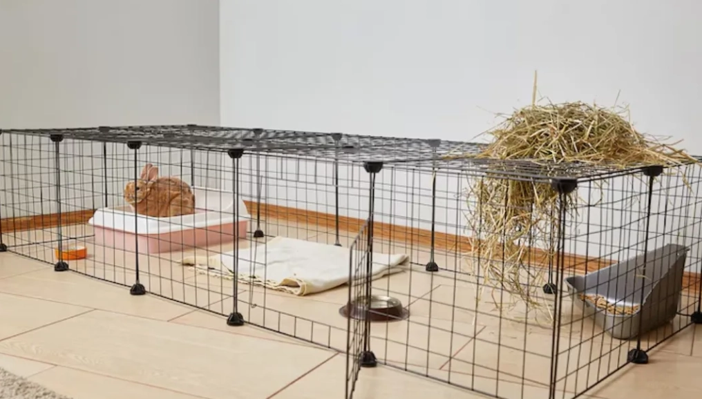wire rabbit cage