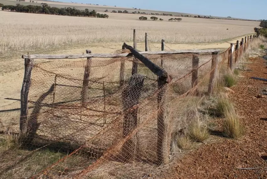 how to stop rabbits digging