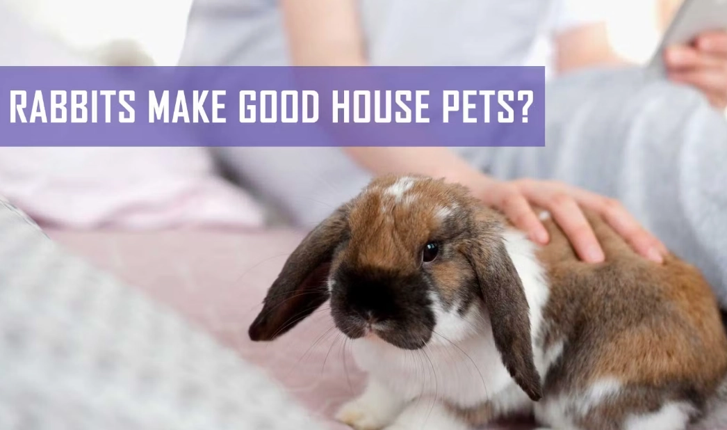 Do rabbits make good house pets?