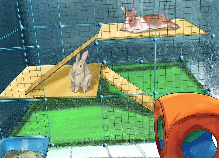 best bedding for rabbits best bedding for rabbits