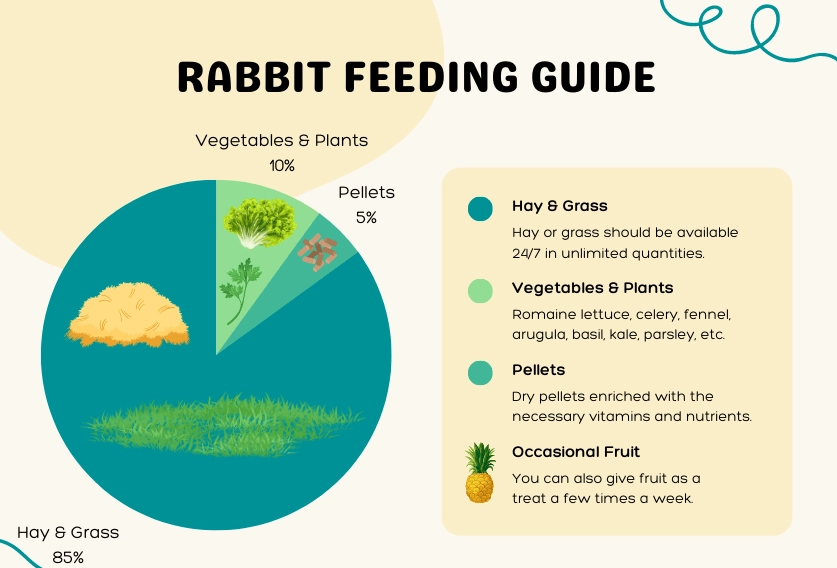 what to feed wild rabbits