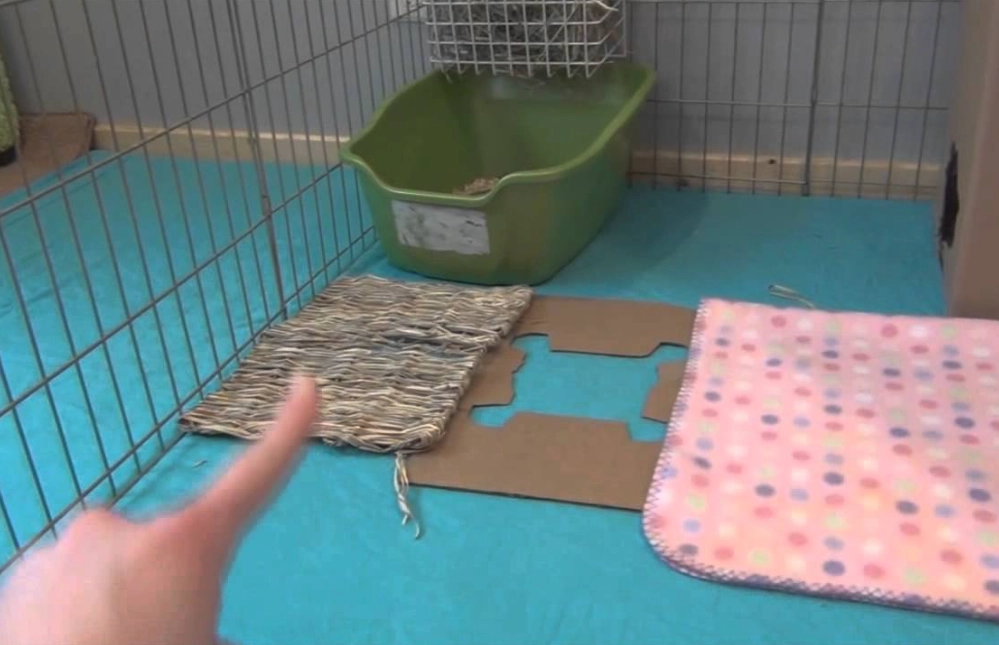 rabbit cage bedding rabbit cage bedding