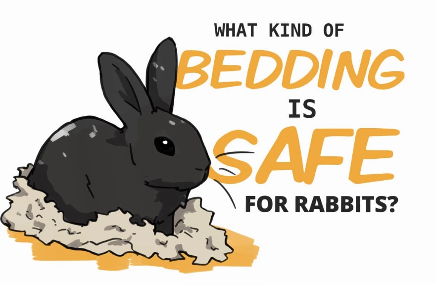 unsafe rabbit bedding