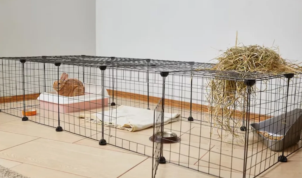 rabbit litter box setup rabbit litter box setup