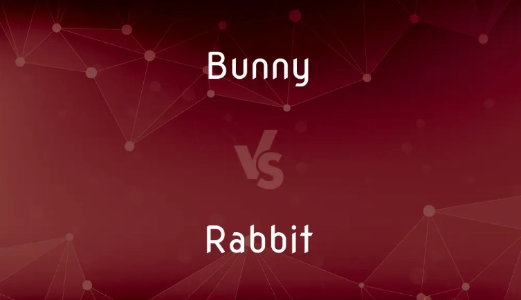 rabbit bunny difference
