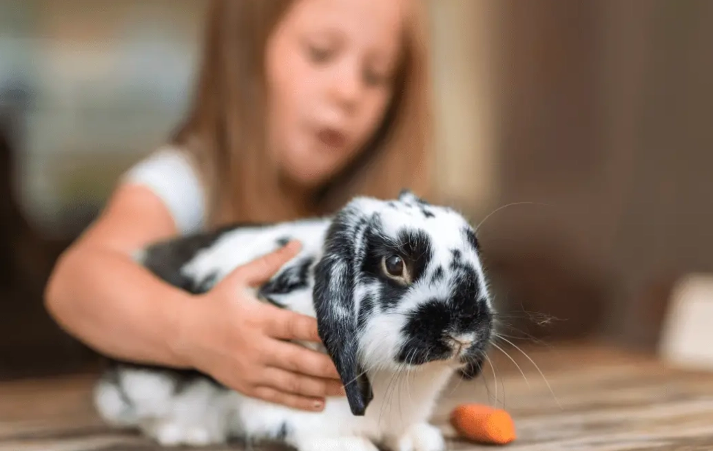 pet rabbits for children